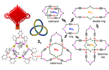 Dynamic assembly of chiral golden knots 2024.100300